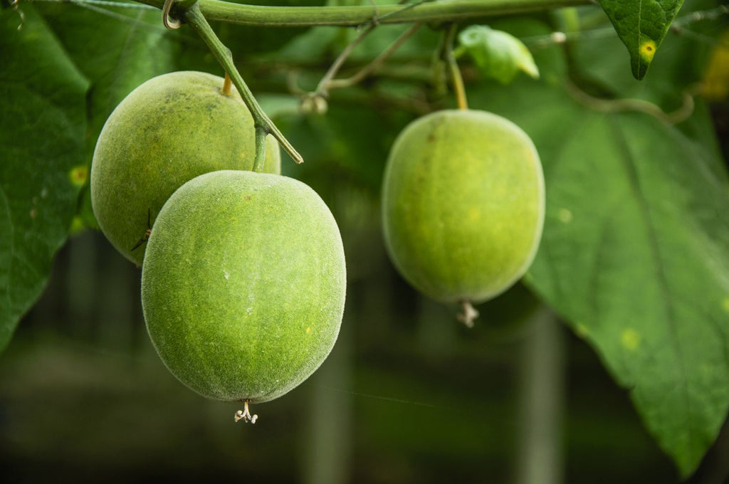 Monka Organic Sweetener: A Healthier Alternative for Weight Management